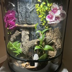 Gargoyle Gecko Enclosure 20 Gallon Tank 