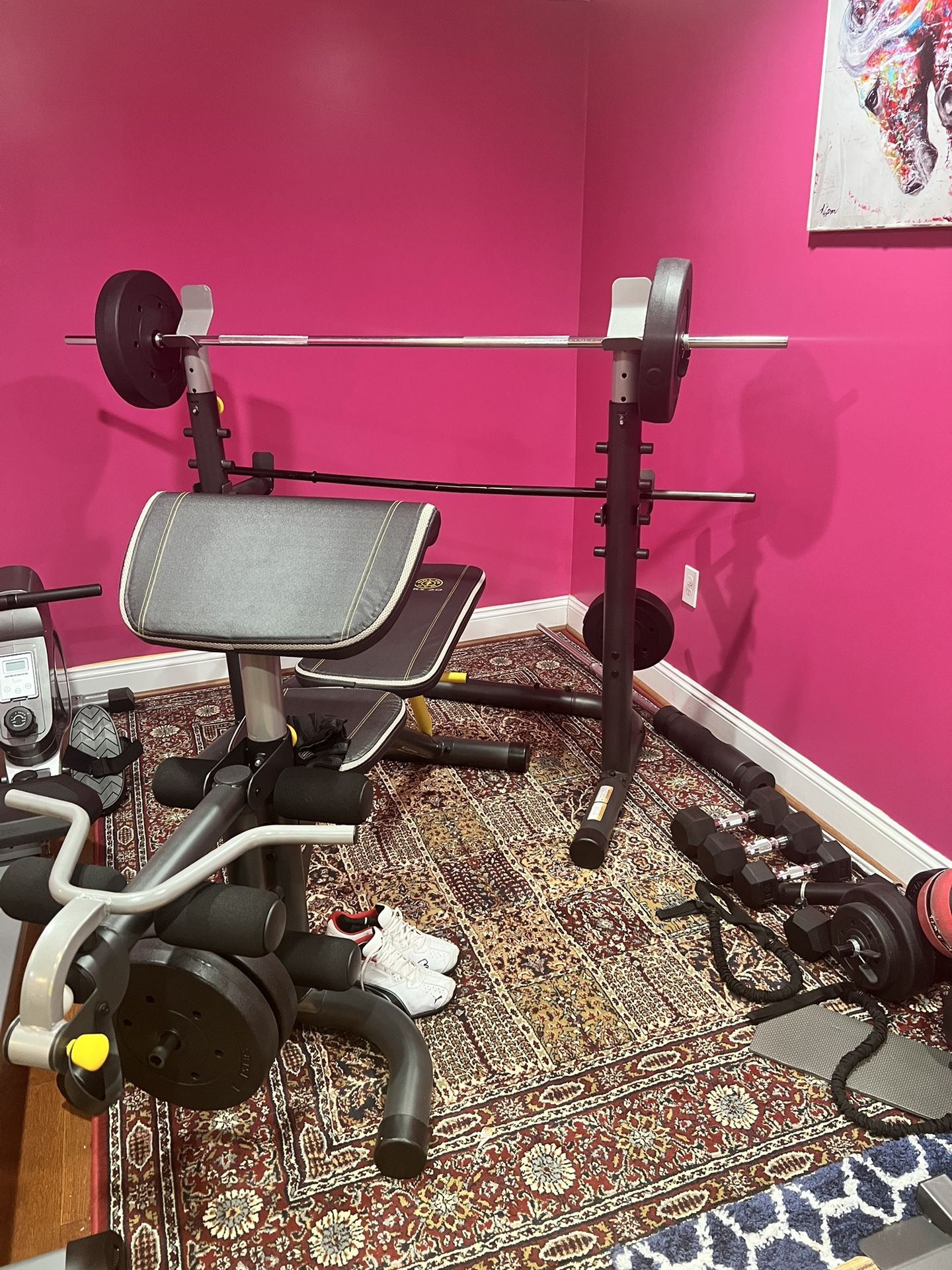 Gym Bench And Weight Rack