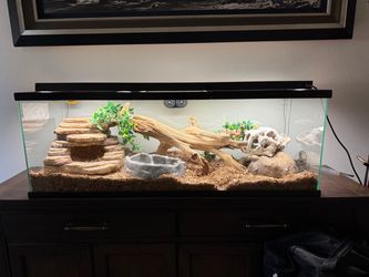 Reptile Cage