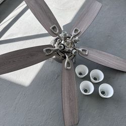 Ceiling Fan