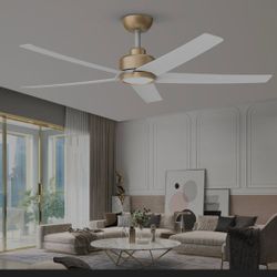 Ceiling Fan With Light 52inch
