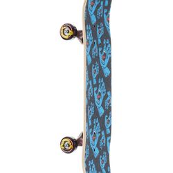 Santa Cruz Skateboard