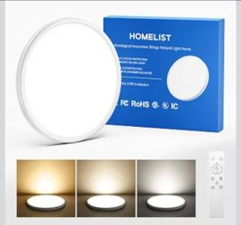 LX3 6000LM Eye Protection LED Flush Mount Ceiling Light Fixtur