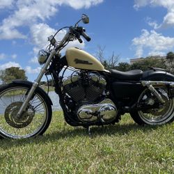 2012 SPORTSTER SEVENTY TWO 1200 cc LOW LOW MILES