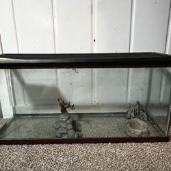 Tank