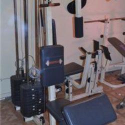 Brutus 470 Home Gym Used $100