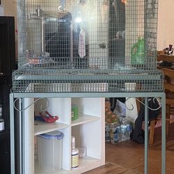 Cage And Accessories 