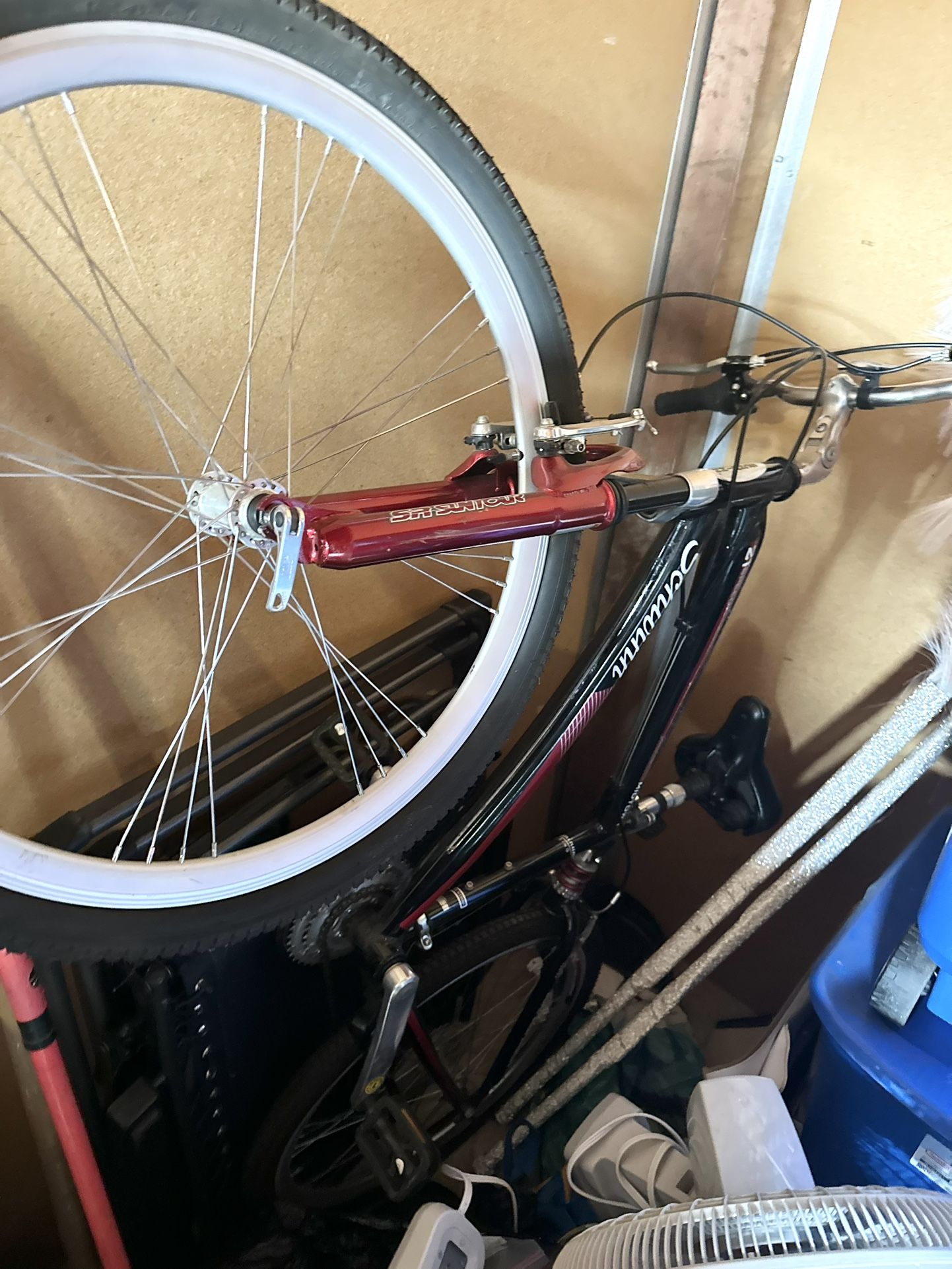 Schwinn 21 Speed Bike