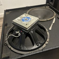 1975 Fender Bassman CTS 15”