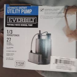 Everbilt Portable Water Removal Pump