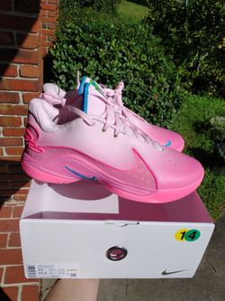 New Nike LeBron XXII SN men size 14 Pink