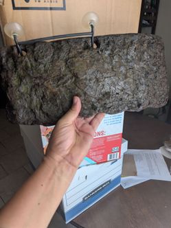Aquarium Turtle pad