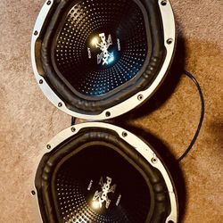 Car 12” Subwoofers 