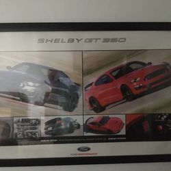 Shelby GT350 Ford Mustang Framed Poster