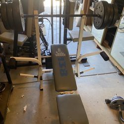Weight Bench 95lbs 