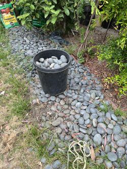 Decorative River Stone
