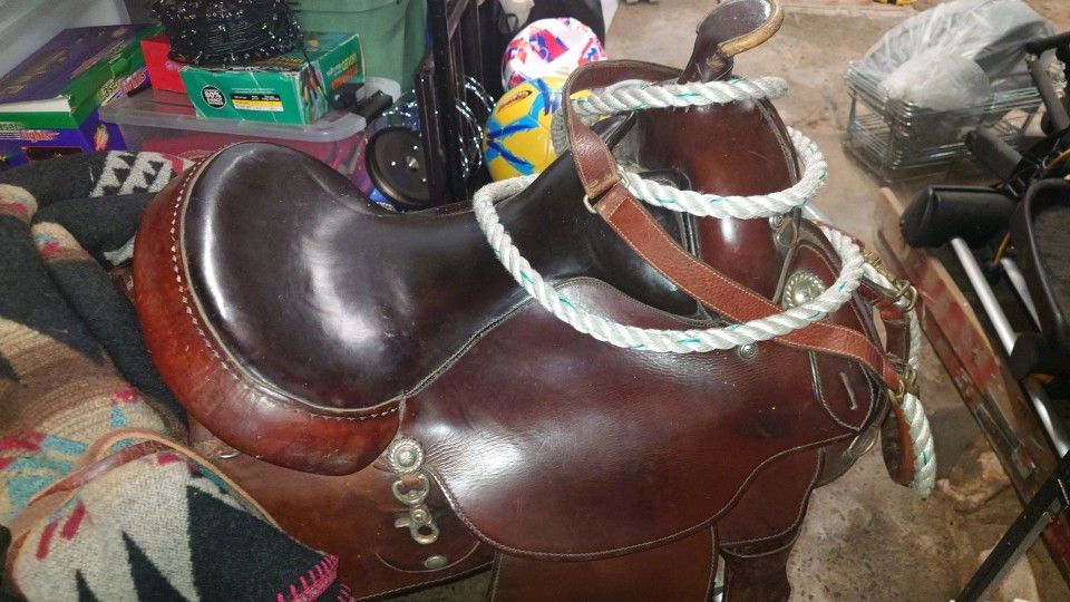 Circle Y Saddle
