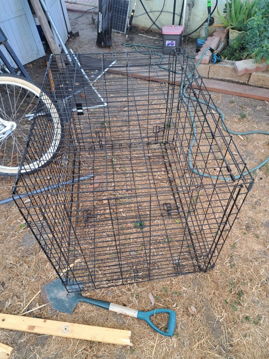 Cage Barata
