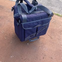 rolling insulated cooler bag