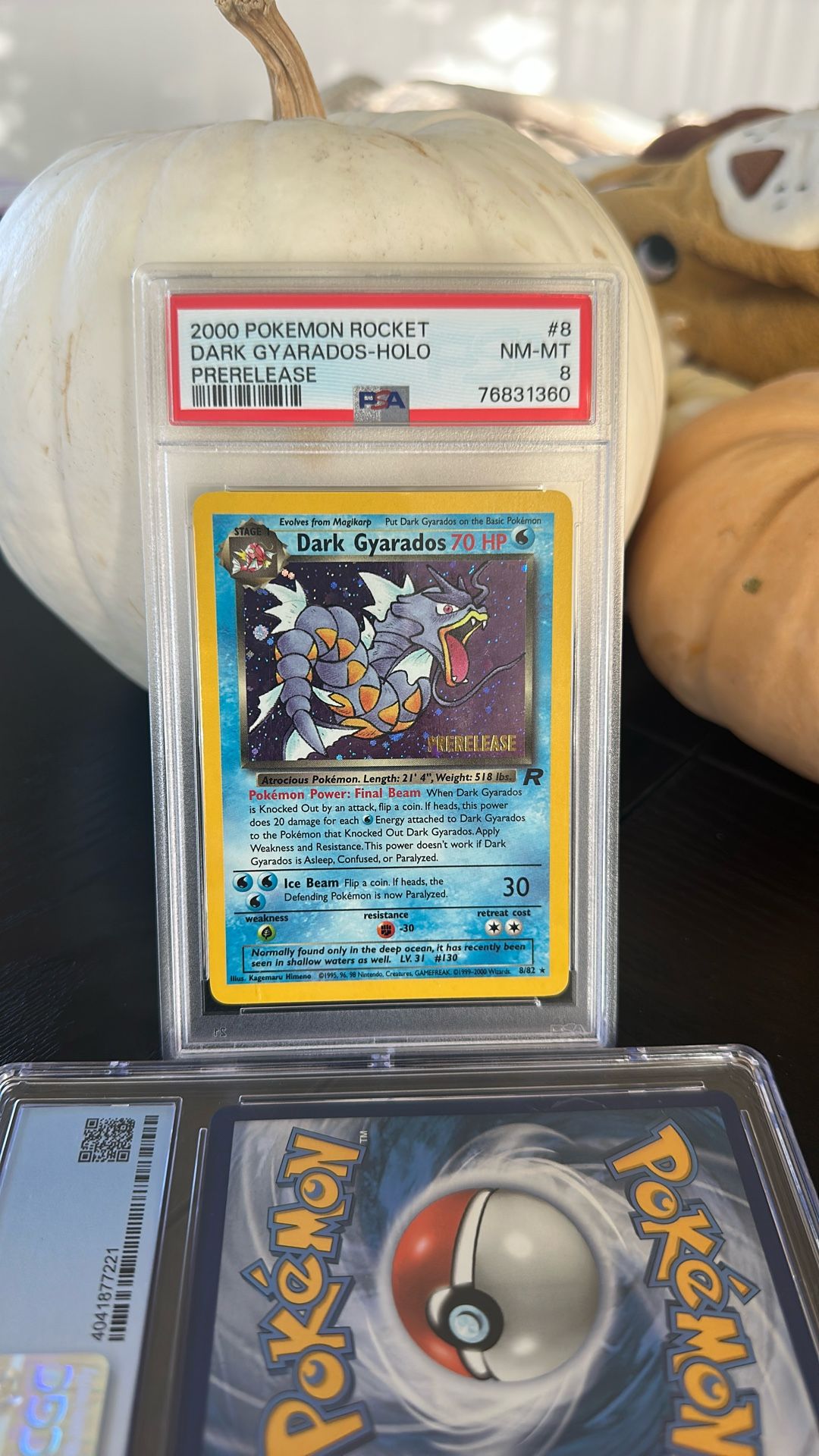 $100 Pokemon Lot