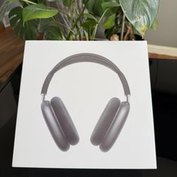 AirPod Maxes (space Gray)