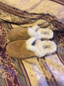 Ugg clogs