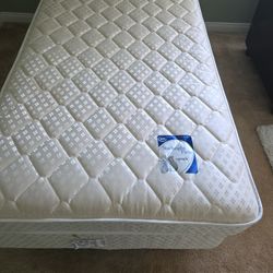 Twin Mattress, Box spring, Frame