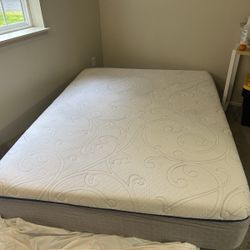 Queen Firm Mattress 