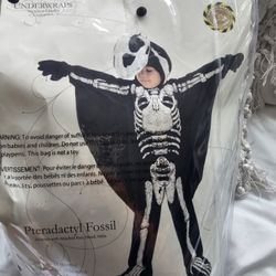 Pterodactyl Fossil Used Once. Size 4-6