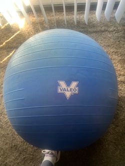 Workout Ball