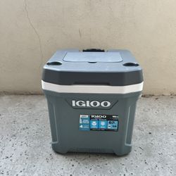Igloo Ice Box 
