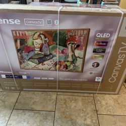 Hisense Canvas TV Television Google 65 Inch And 55 