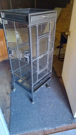 Big Bird Cage 