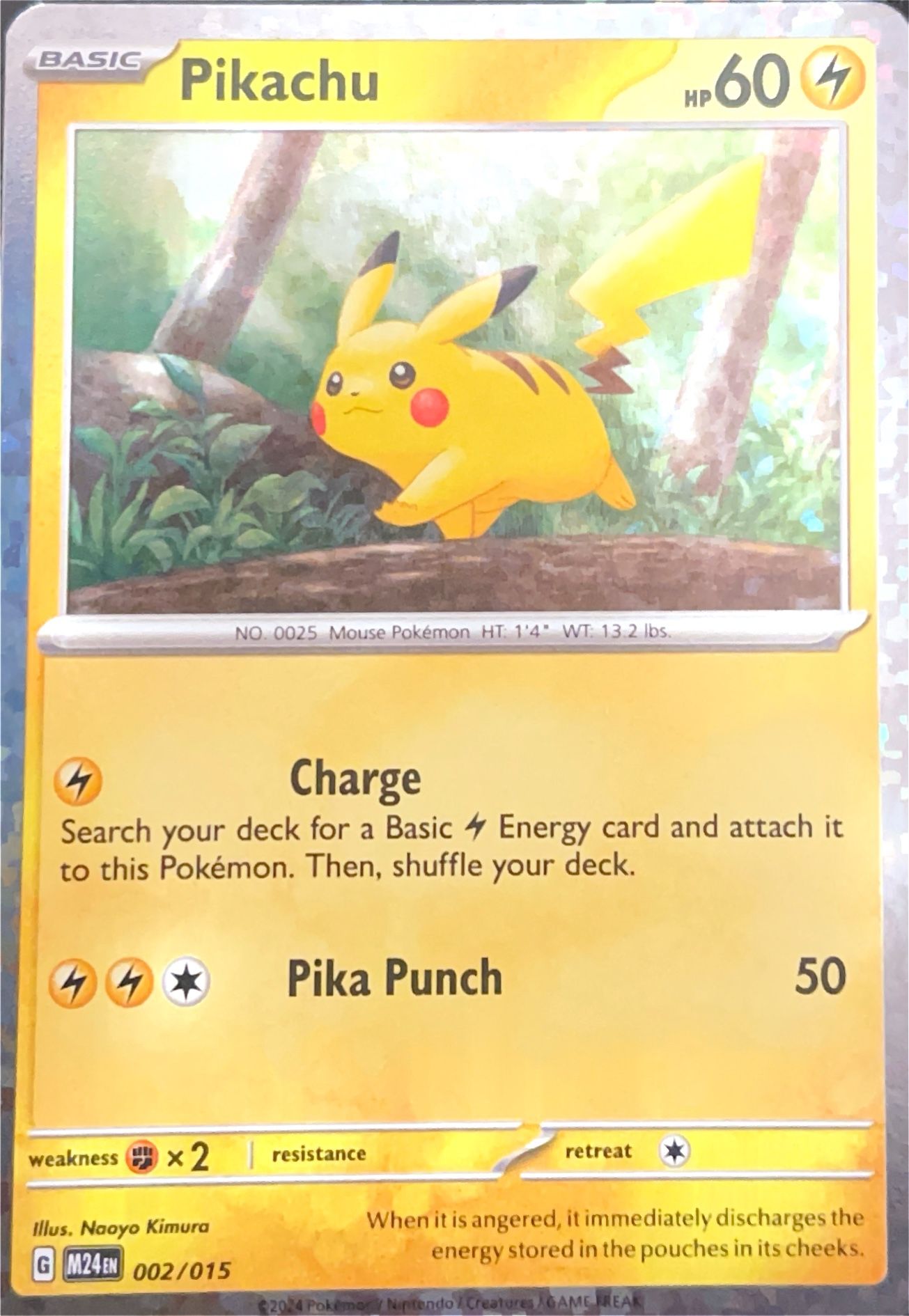 Holo Pokemon Cards