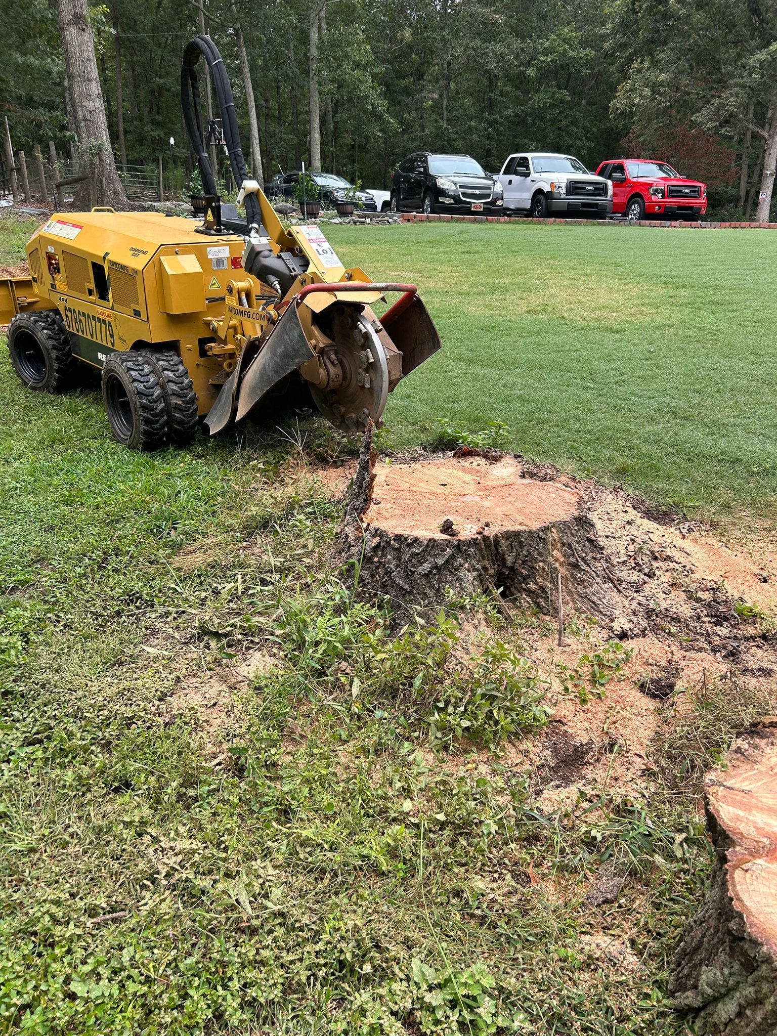 Stump grinding