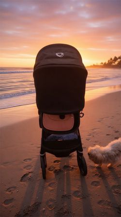 Bugaboo fox 5