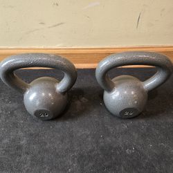 2x 20lb Kettlebells-