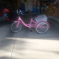 3 Wheel Bike 