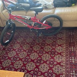 Red Dynacraft Wipeout 31 bike