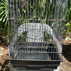 Bird Cage 🦜