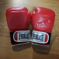 Everlast 12oz Boxing Gloves