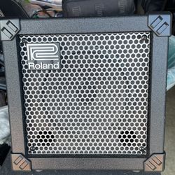 Roland 20x  Guitar Amp