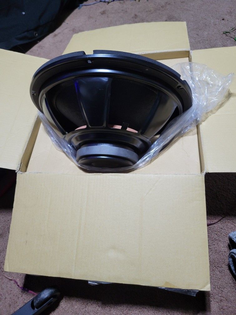 Fifteen Inch Speaker