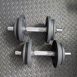 44 Lbs Adjustable Dumbbell Set
