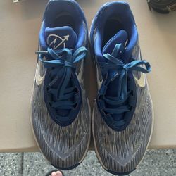 Nike Air Zoom Basketball Sneakers