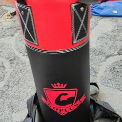 kids Punching Bag Set - Includes 8oz Gloves 