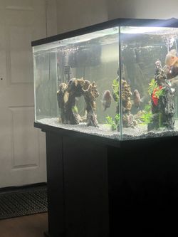 Brand New 80 Gallon Fish Tank Top And Stand