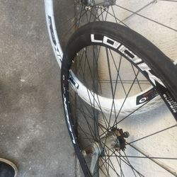 Fixie Tires And Rims