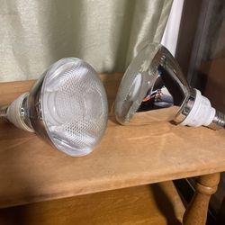 2 Big Bulbs 5/1 