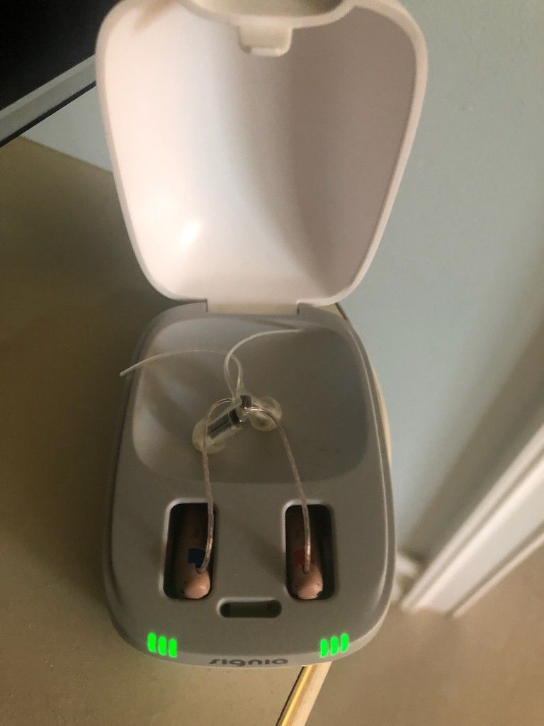 Hearing Aid Set
